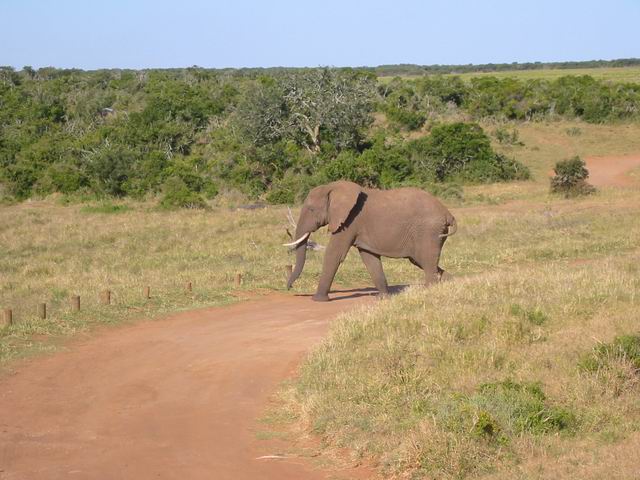 Image 18 of 78  -  58 kB