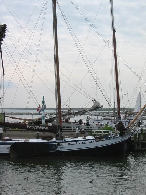Image 19 of 184  -  55 kB