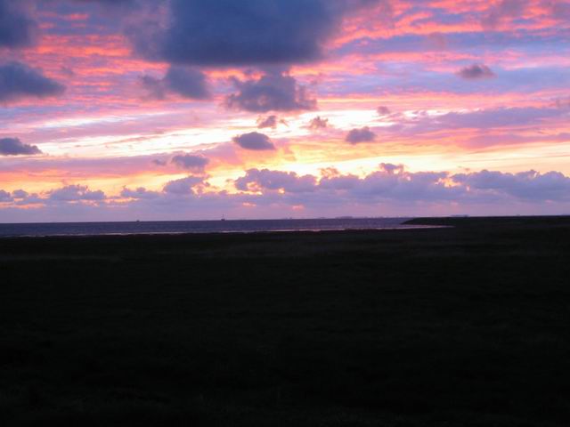 Image 59 of 184  -  28 kB