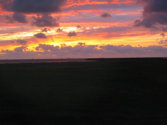 Image 60 of 184  -  26 kB