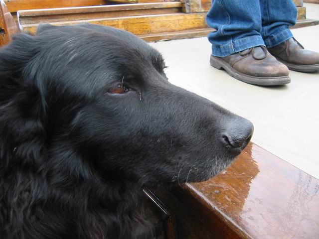 Image 71 of 184  -  45 kB