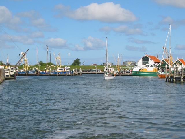 Image 92 of 184  -  50 kB