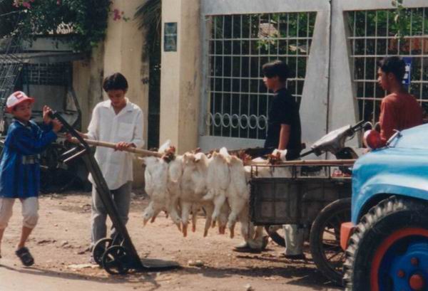 Image 41 of 57  -  59 kB